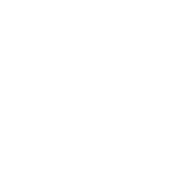 IMUN — Indian MUN seal